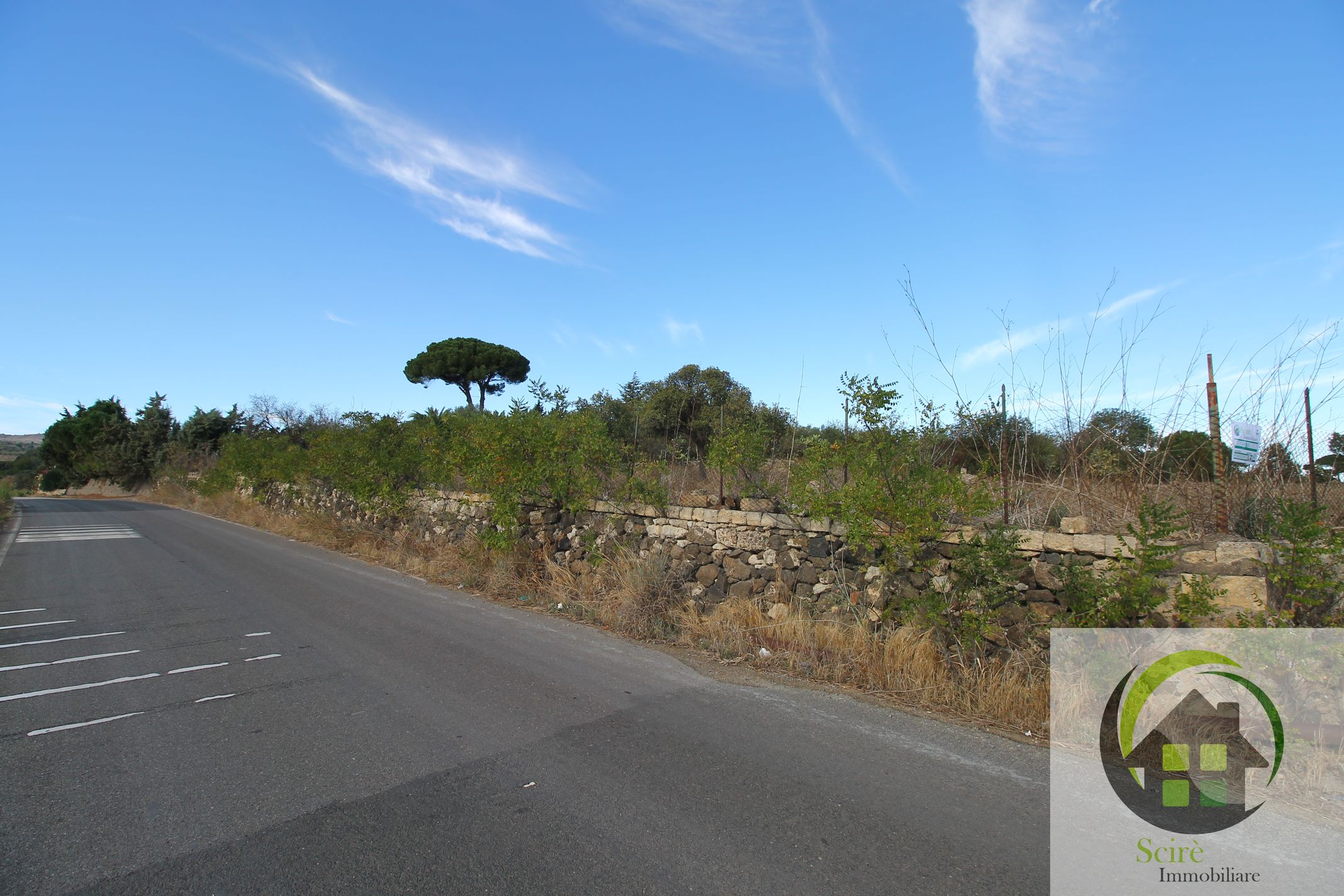 sp30, ,Terreno Agricolo,Vendita,sp30,1245