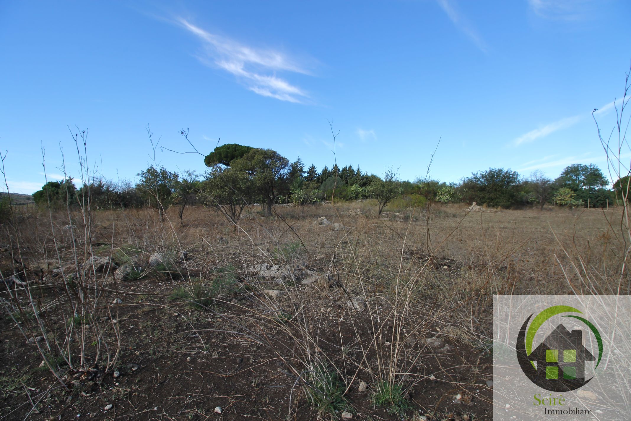 sp30, ,Terreno Agricolo,Vendita,sp30,1245