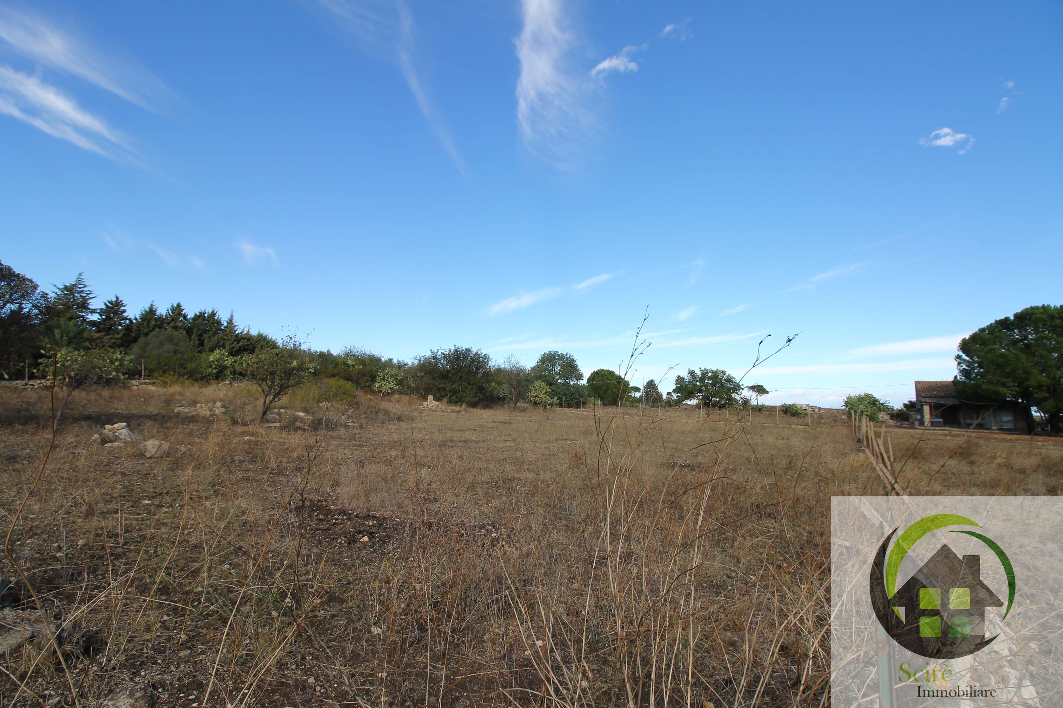 sp30, ,Terreno Agricolo,Vendita,sp30,1245