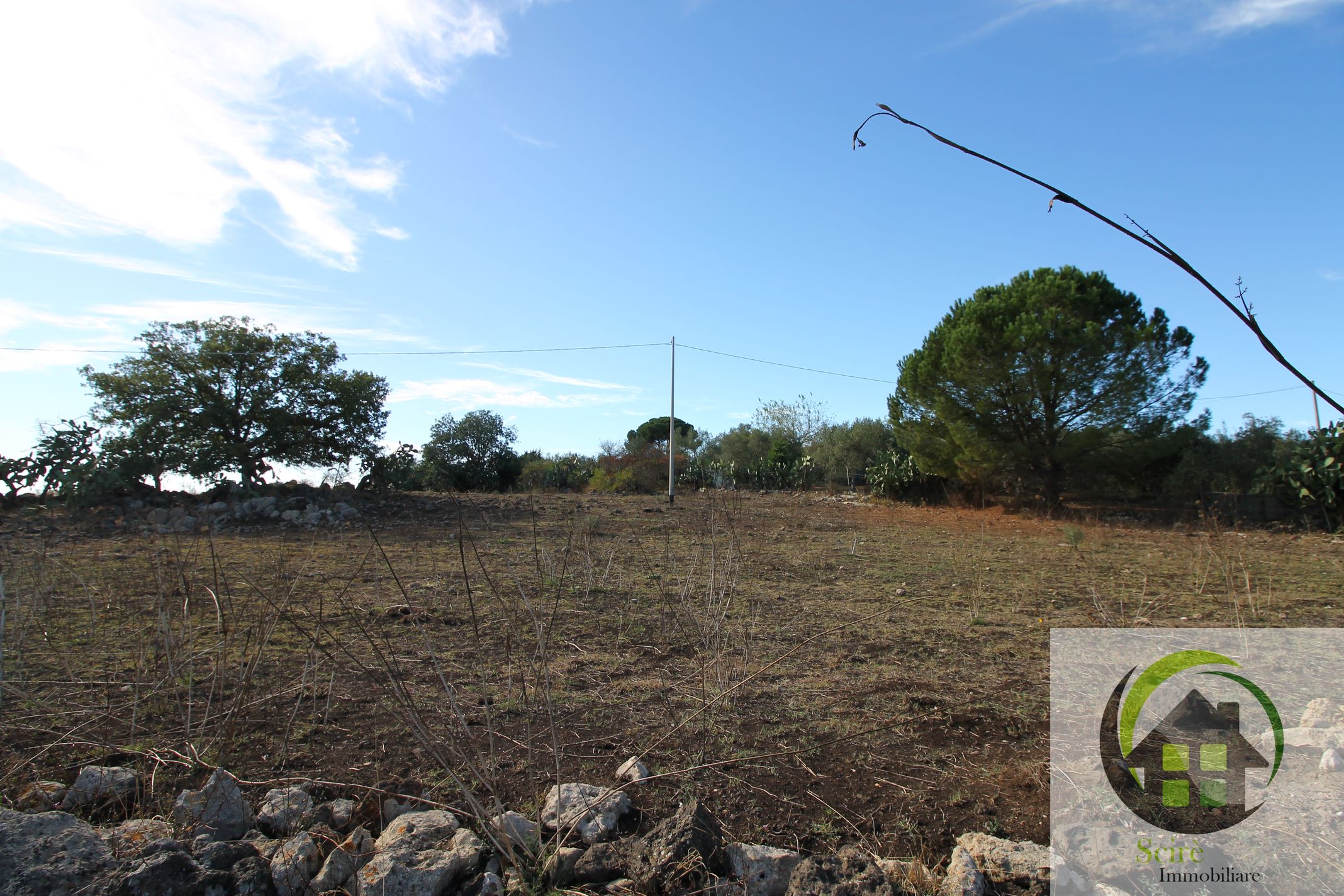 sp30, ,Terreno Agricolo,Vendita,sp30,1245