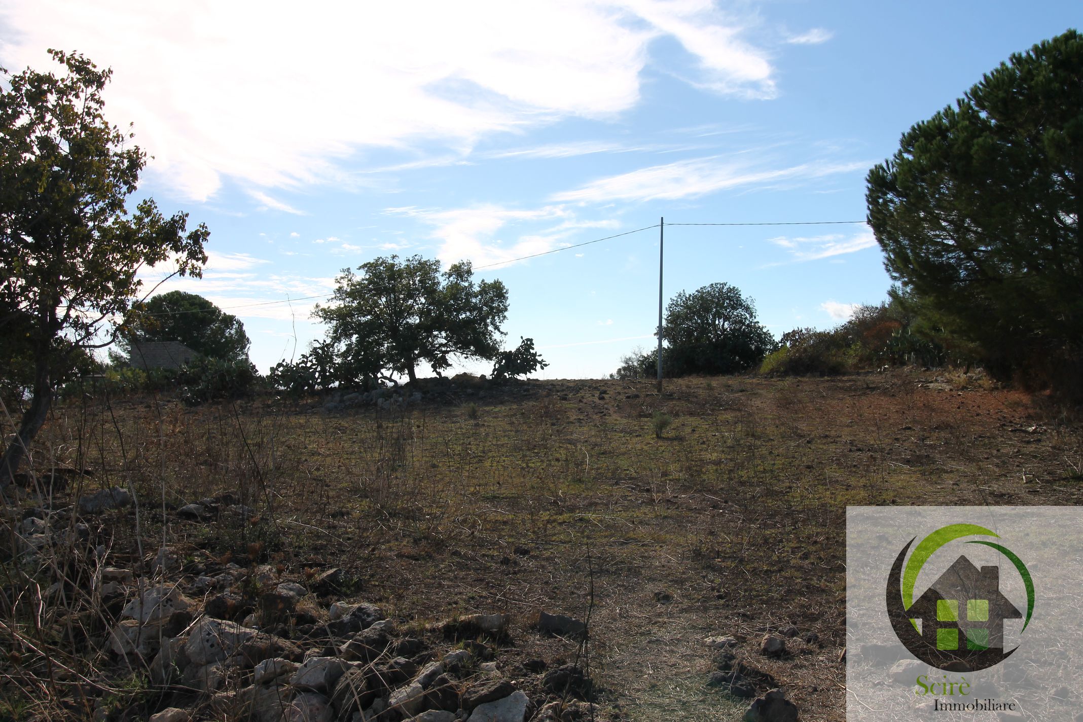 sp30, ,Terreno Agricolo,Vendita,sp30,1245