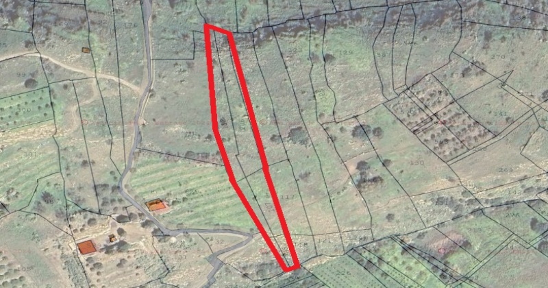 Terreno Agricolo,Vendita,1267