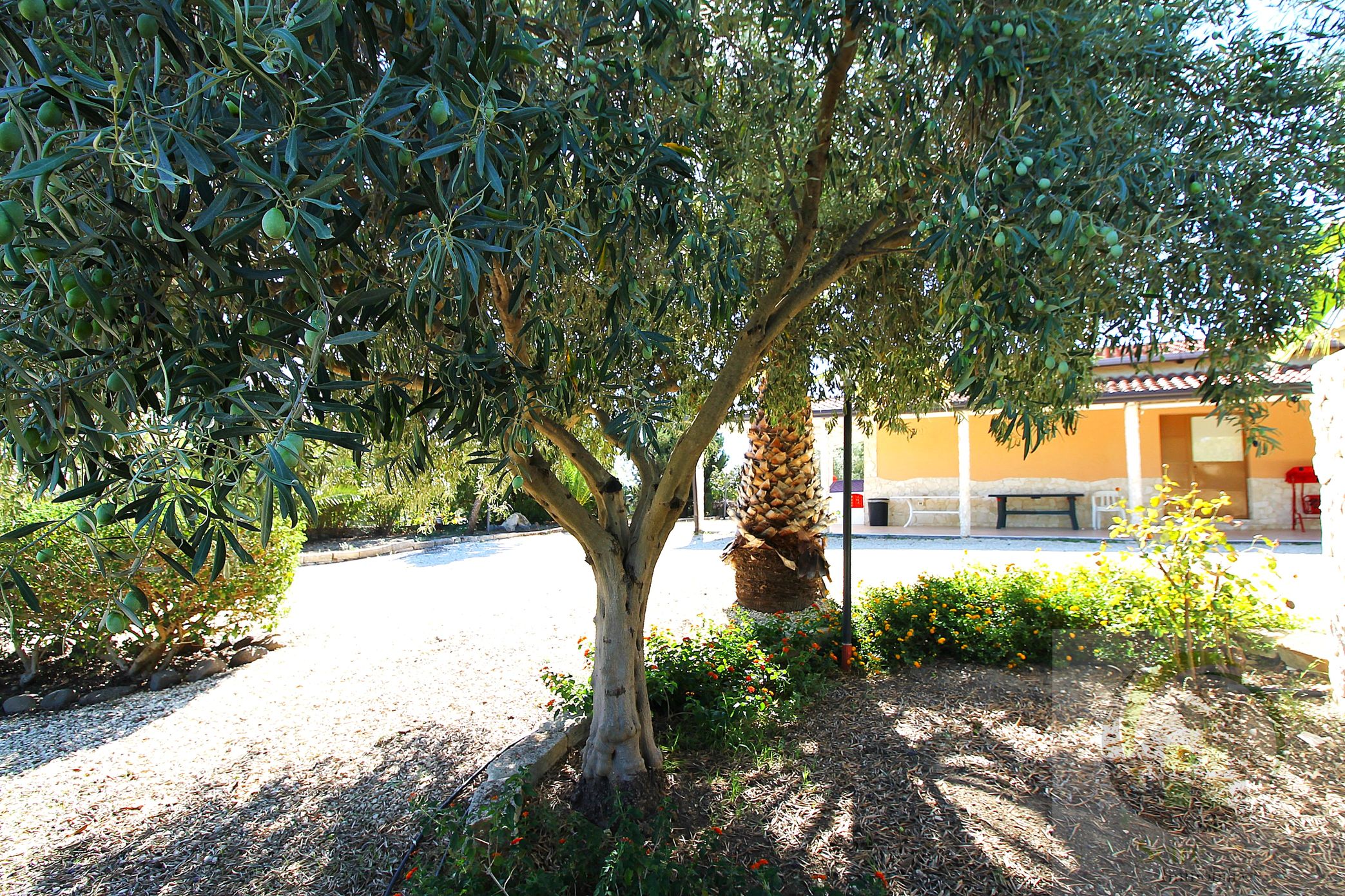 0 , 0 ,0,Villa,Vendita,0,1276