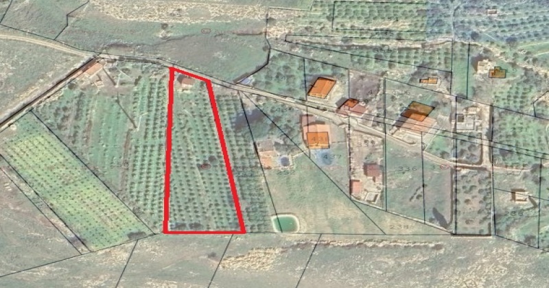 95048, 0 , 0 ,0,Terreno Agricolo,Vendita,0,1301