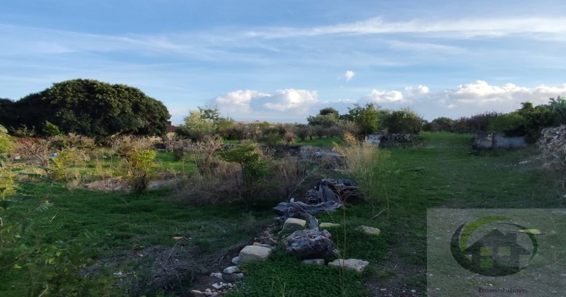 95048, 0 , 0 ,0,Terreno Agricolo,Vendita,0,1301