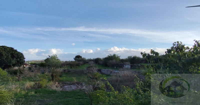 95048, 0 , 0 ,0,Terreno Agricolo,Vendita,0,1301