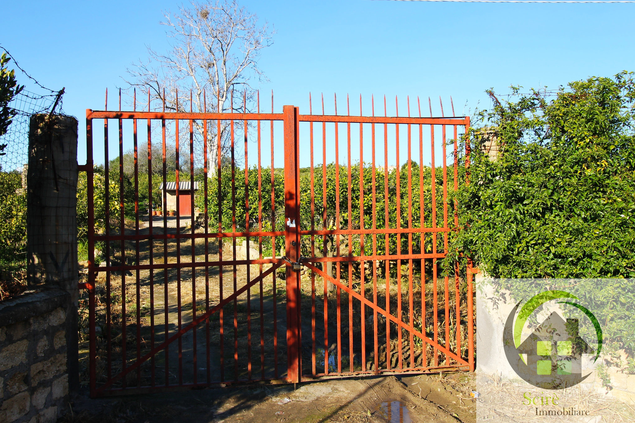 sp385, 0 , 0 ,0,Terreno Agricolo,Vendita,sp385,0,1305