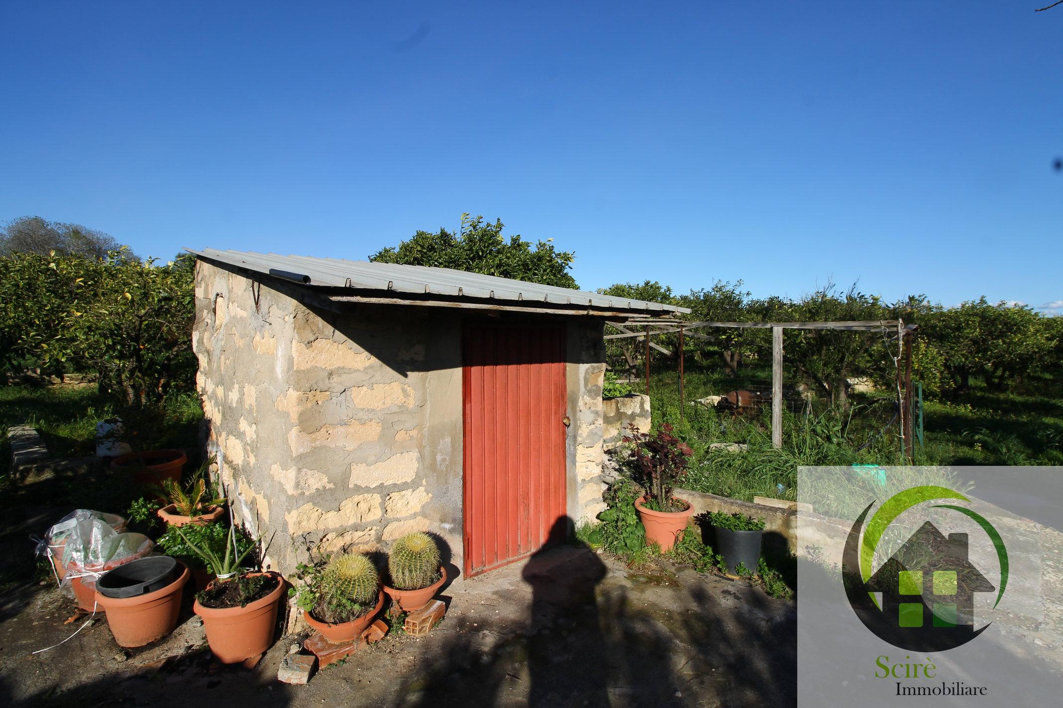 sp385, 0 , 0 ,0,Terreno Agricolo,Vendita,sp385,0,1305