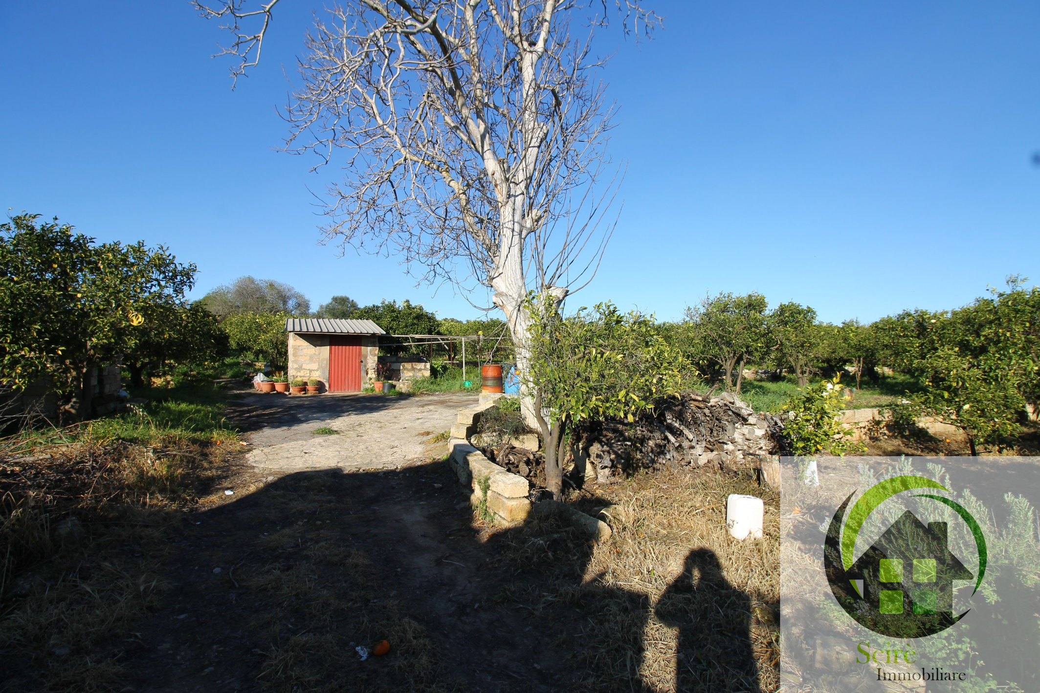 sp385, 0 , 0 ,0,Terreno Agricolo,Vendita,sp385,0,1305