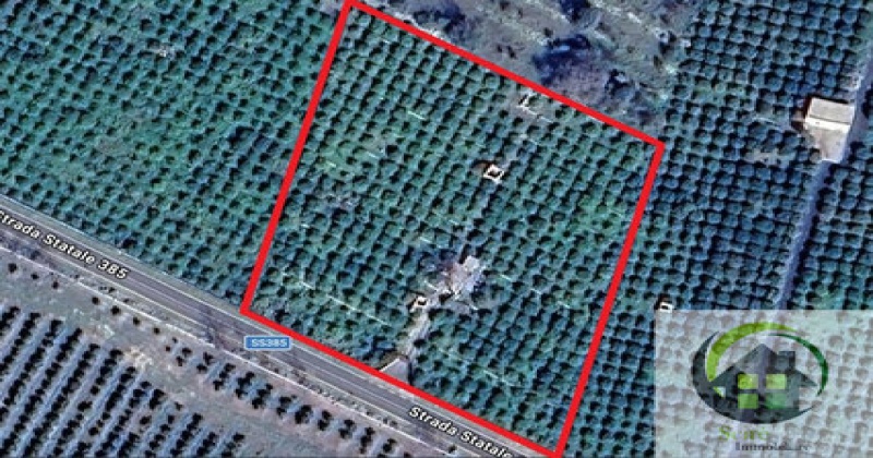 sp385, 0 , 0 ,0,Terreno Agricolo,Vendita,sp385,0,1305