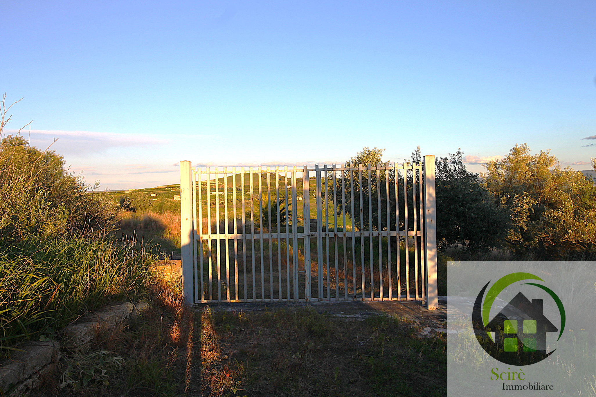 0 , 0 ,0,Terreno Agricolo,Vendita,0,1306