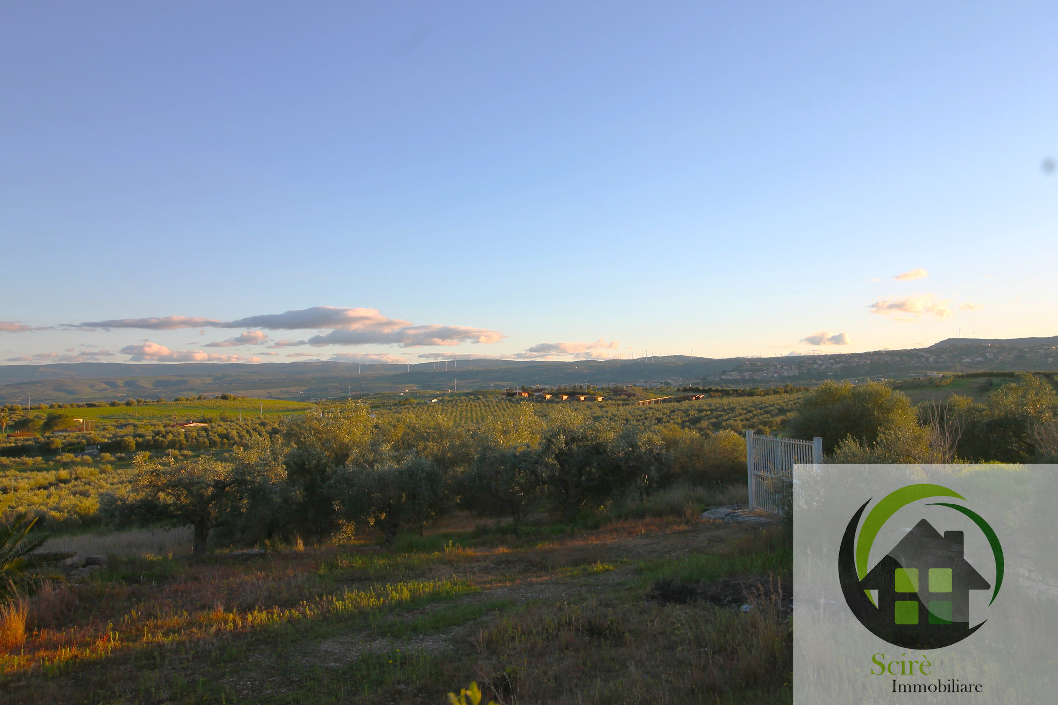 0 , 0 ,0,Terreno Agricolo,Vendita,0,1306