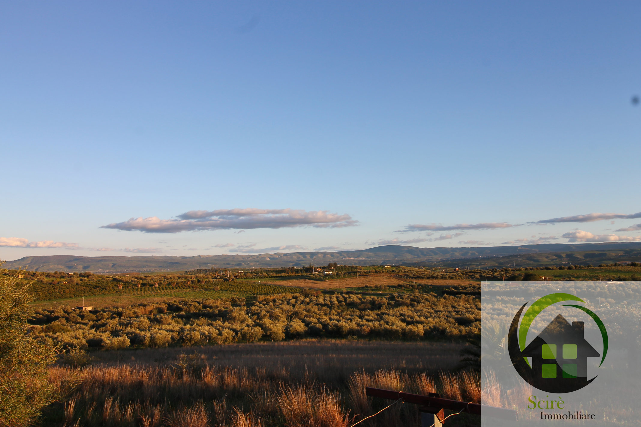 0 , 0 ,0,Terreno Agricolo,Vendita,0,1306