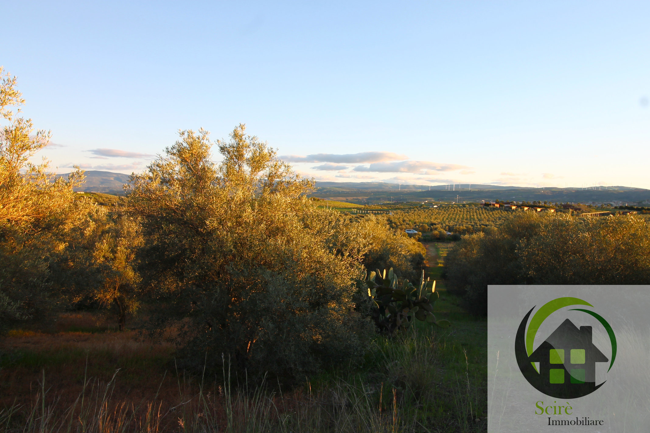 0 , 0 ,0,Terreno Agricolo,Vendita,0,1306