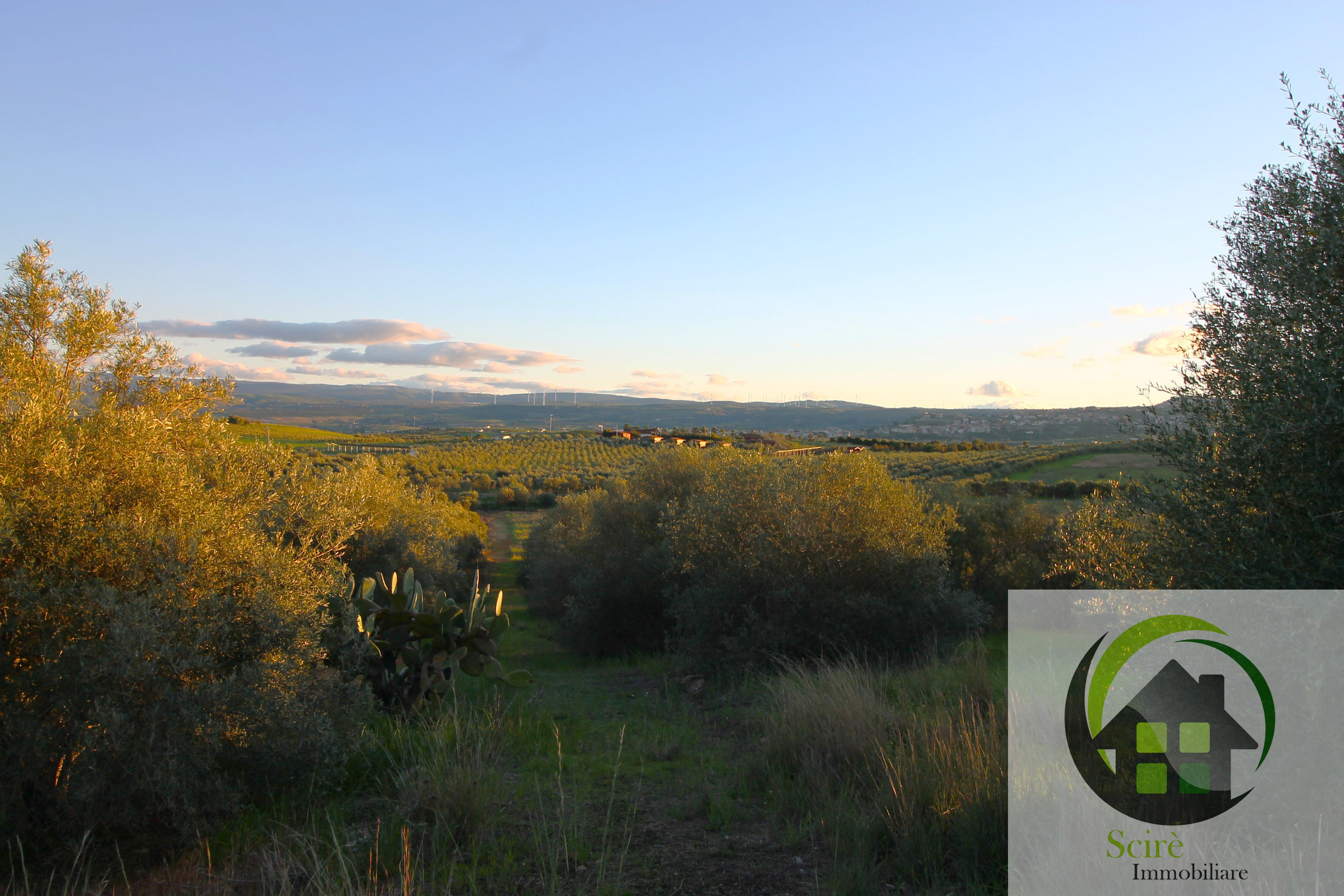 0 , 0 ,0,Terreno Agricolo,Vendita,0,1306