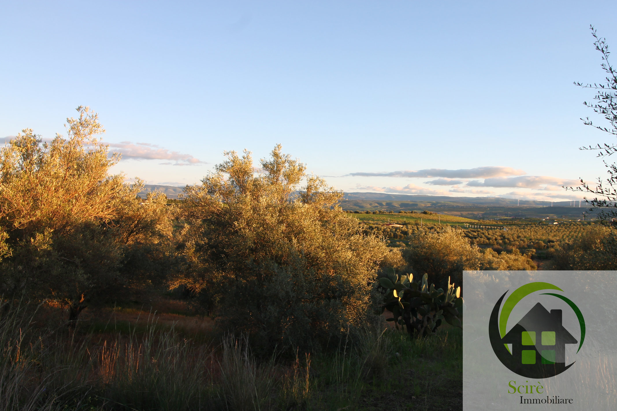 0 , 0 ,0,Terreno Agricolo,Vendita,0,1306