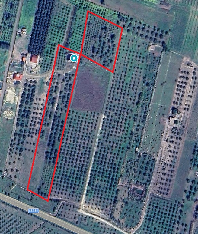 0 , 0 ,0,Terreno Agricolo,Vendita,0,1306