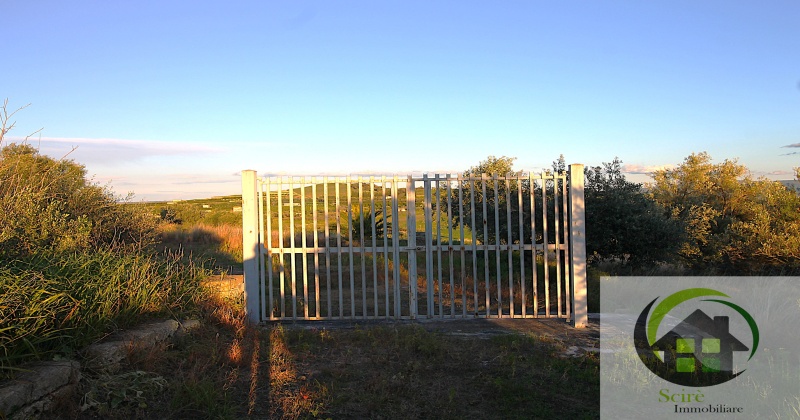 0 , 0 ,0,Terreno Agricolo,Vendita,0,1306