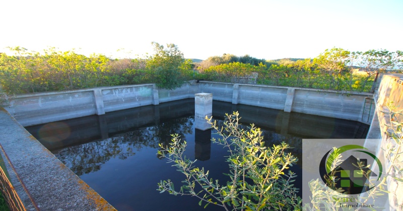 0 , 0 ,0,Terreno Agricolo,Vendita,0,1306