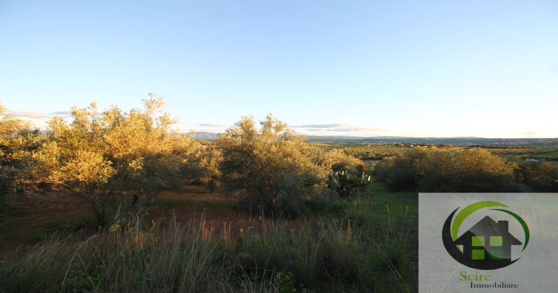 0 , 0 ,0,Terreno Agricolo,Vendita,0,1306