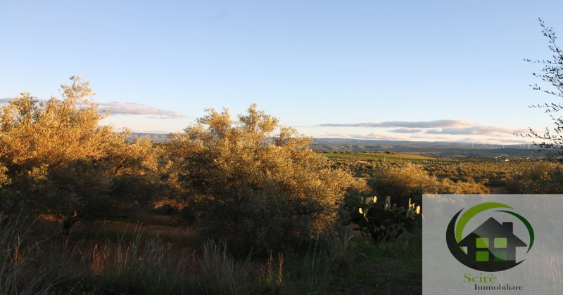 0 , 0 ,0,Terreno Agricolo,Vendita,0,1306