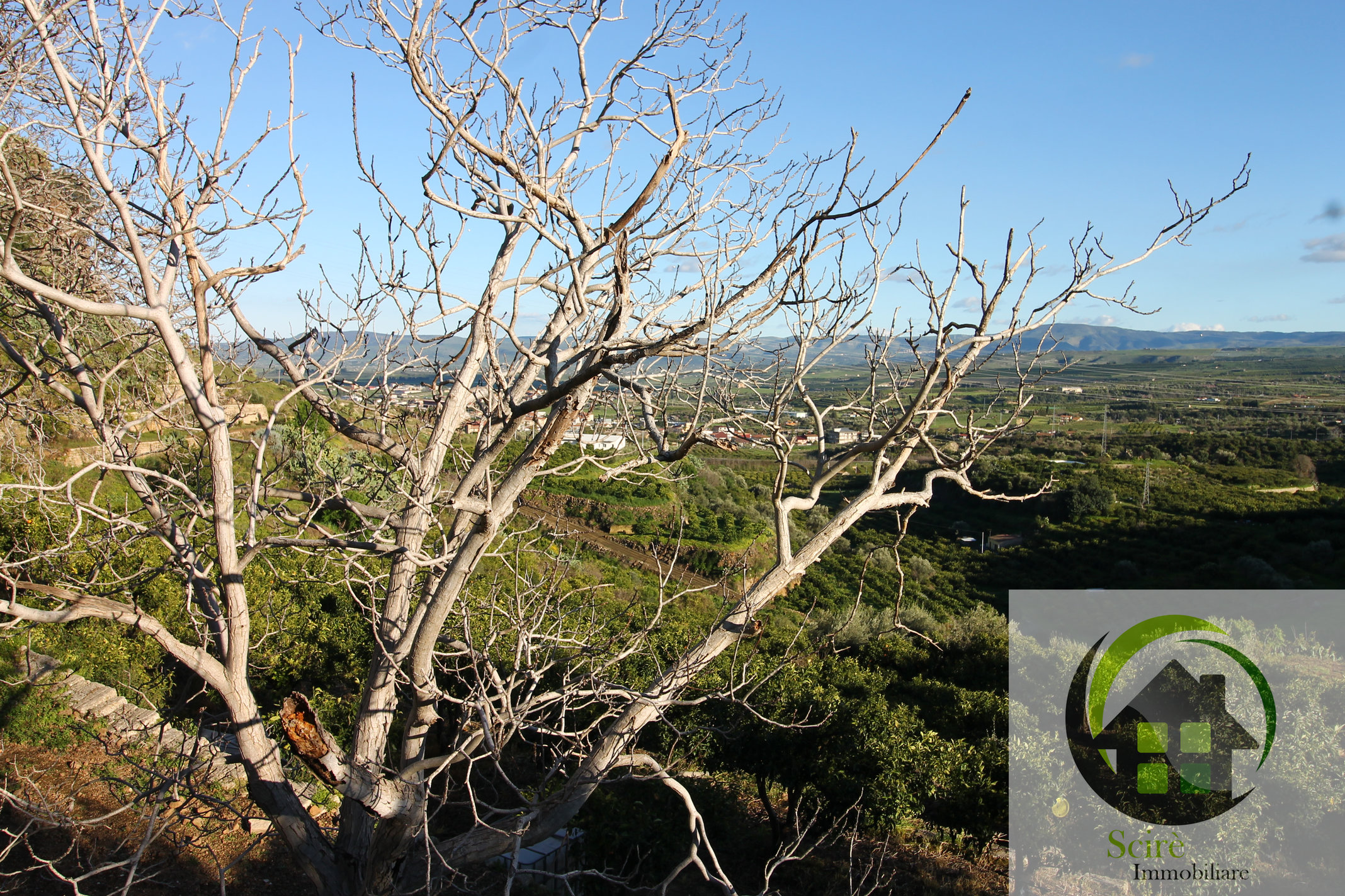 0 , 0 ,0,Terreno Agricolo,Vendita,0,1308