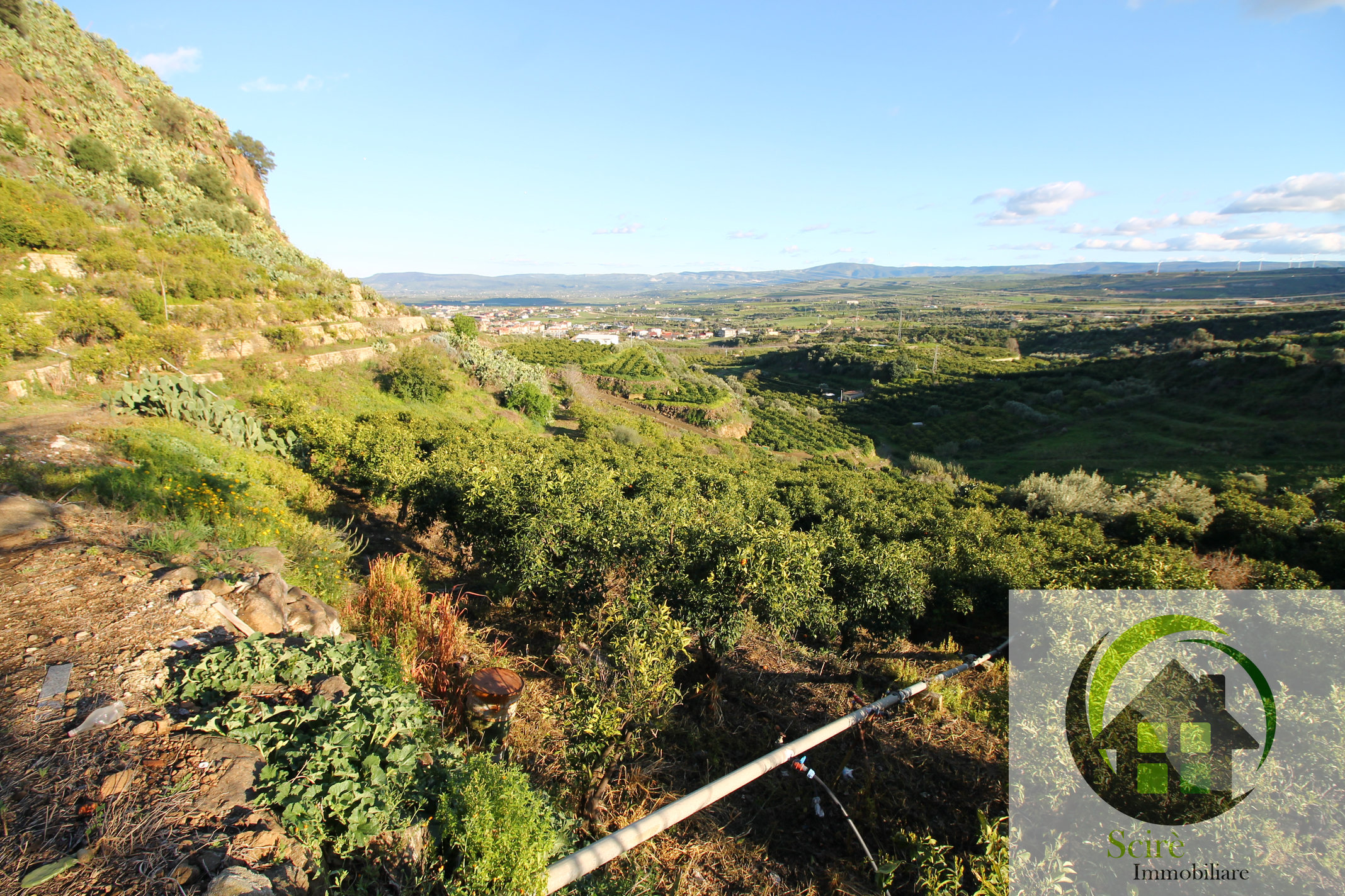 0 , 0 ,0,Terreno Agricolo,Vendita,0,1308