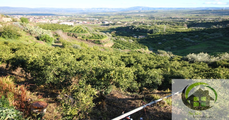 0 , 0 ,0,Terreno Agricolo,Vendita,0,1308