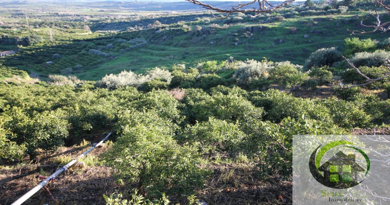 0 , 0 ,0,Terreno Agricolo,Vendita,0,1308