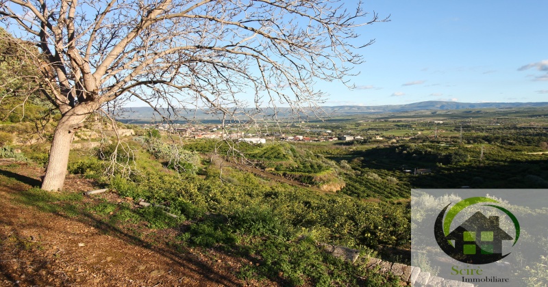 0 , 0 ,0,Terreno Agricolo,Vendita,0,1308