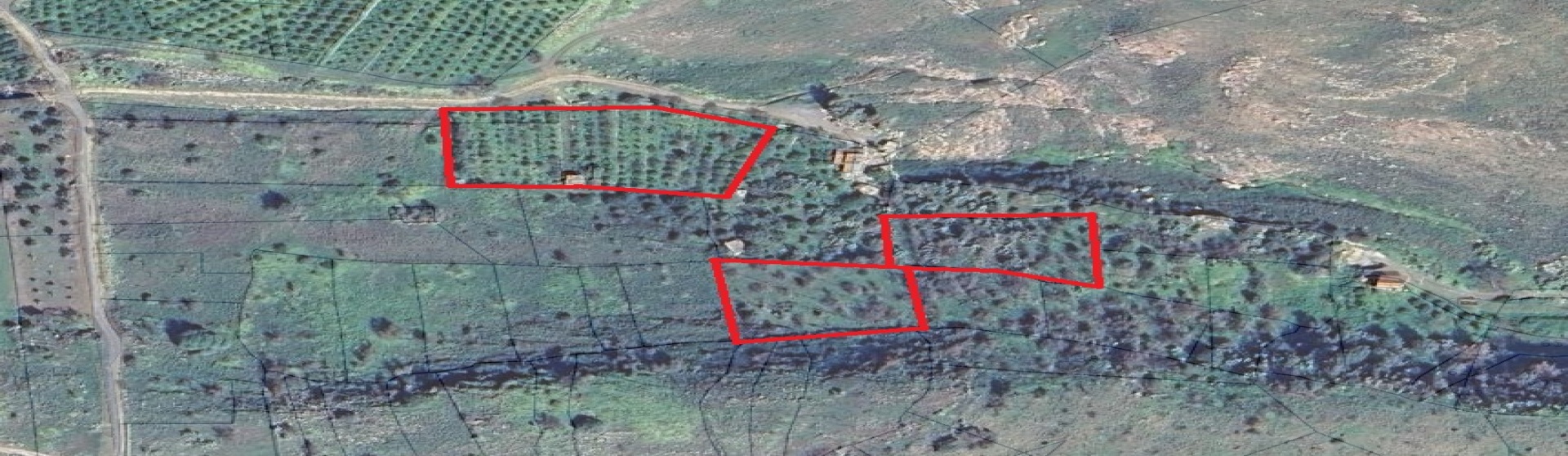 Terreno in vendita a Scordia