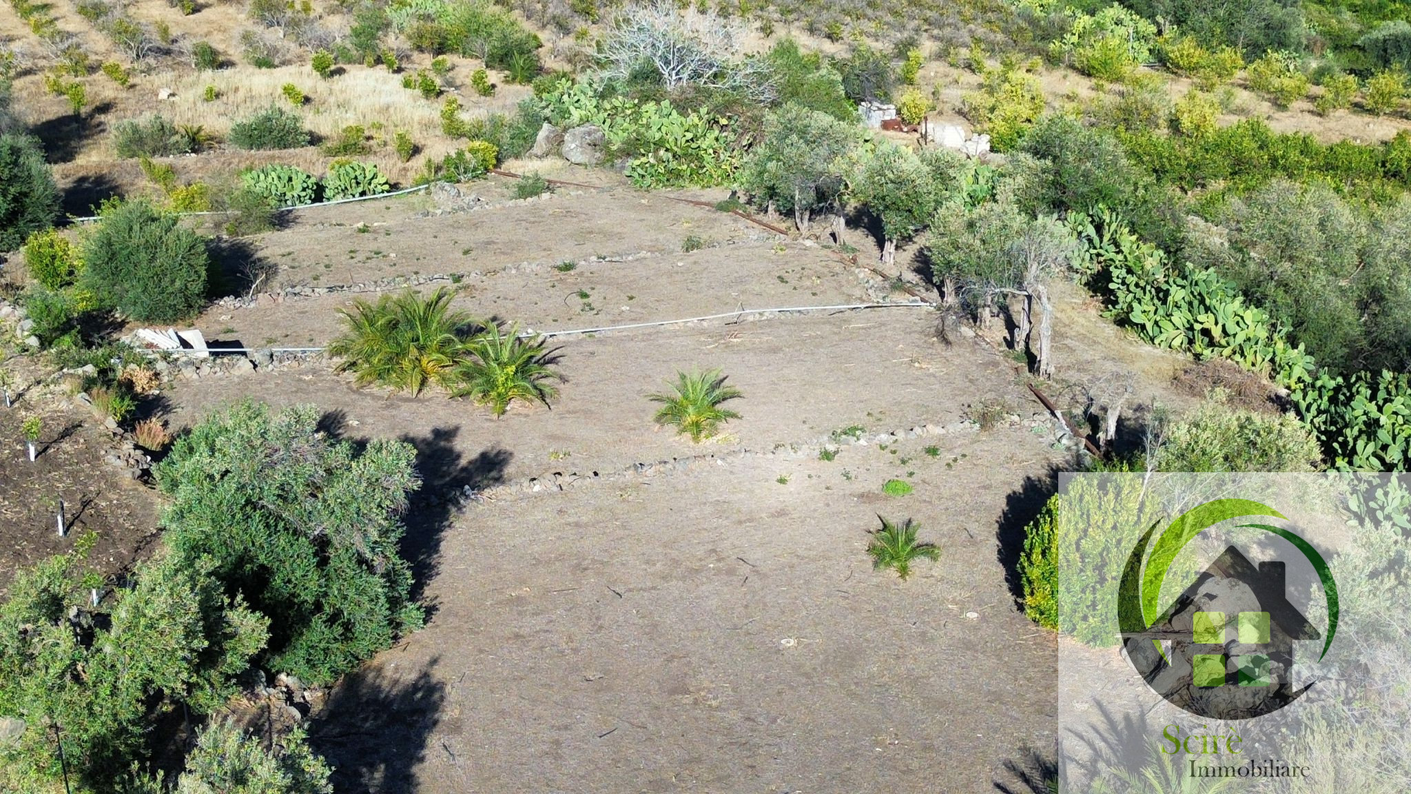 Xirumi, 0 , 0 ,0,Terreno Agricolo,Vendita,Xirumi,0,1317 Xirumi, 0 , 0 ,0,Terreno Agricolo,Vendita,Xirumi,0,1317