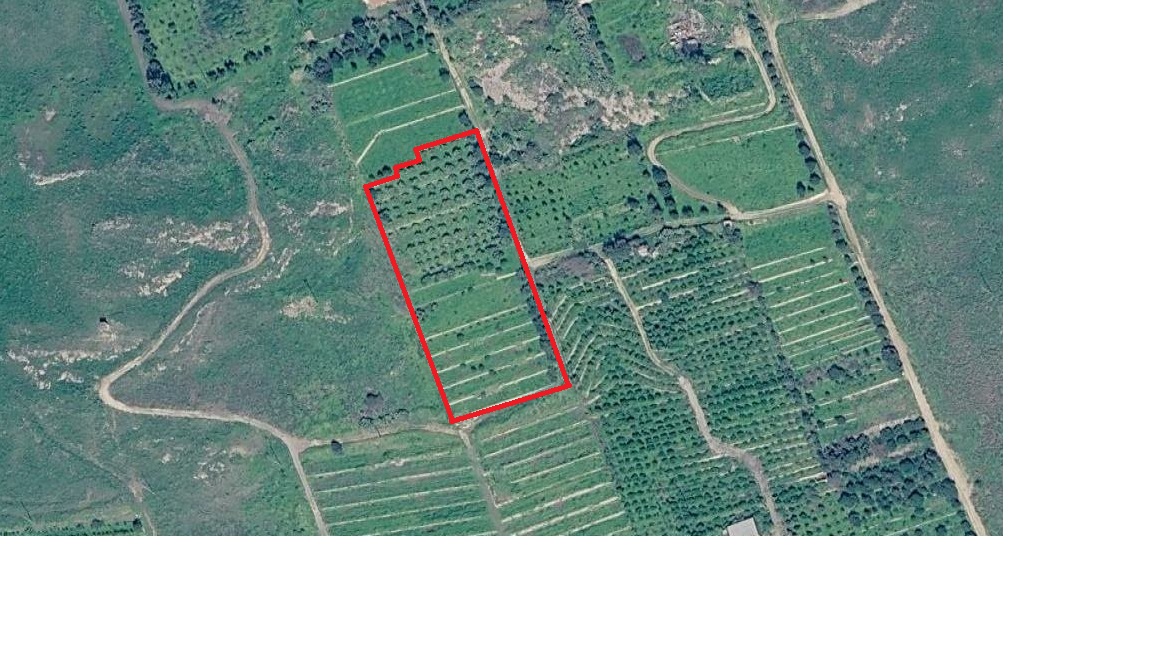 contrada Catalicciardo, 0 , 0 ,0,Terreno Agricolo,Vendita,contrada Catalicciardo,0,1321 contrada Catalicciardo, 0 , 0 ,0,Terreno Agricolo,Vendita,contrada Catalicciardo,0,1321