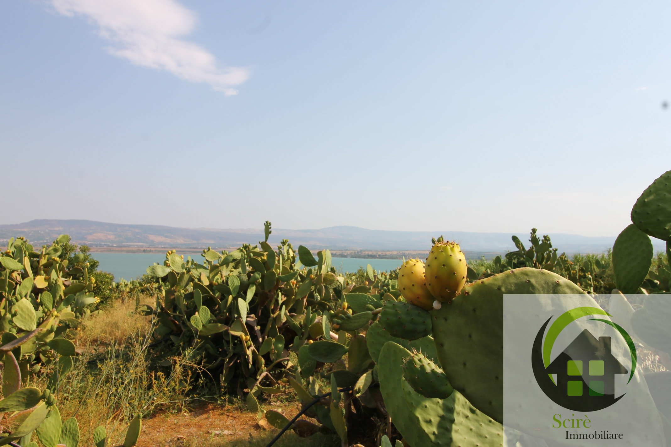 contrada Catalicciardo, 0 , 0 ,0,Terreno Agricolo,Vendita,contrada Catalicciardo,0,1321 contrada Catalicciardo, 0 , 0 ,0,Terreno Agricolo,Vendita,contrada Catalicciardo,0,1321