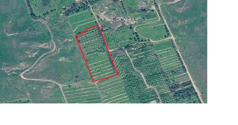 contrada Catalicciardo, 0 , 0 ,0,Terreno Agricolo,Vendita,contrada Catalicciardo,0,1321