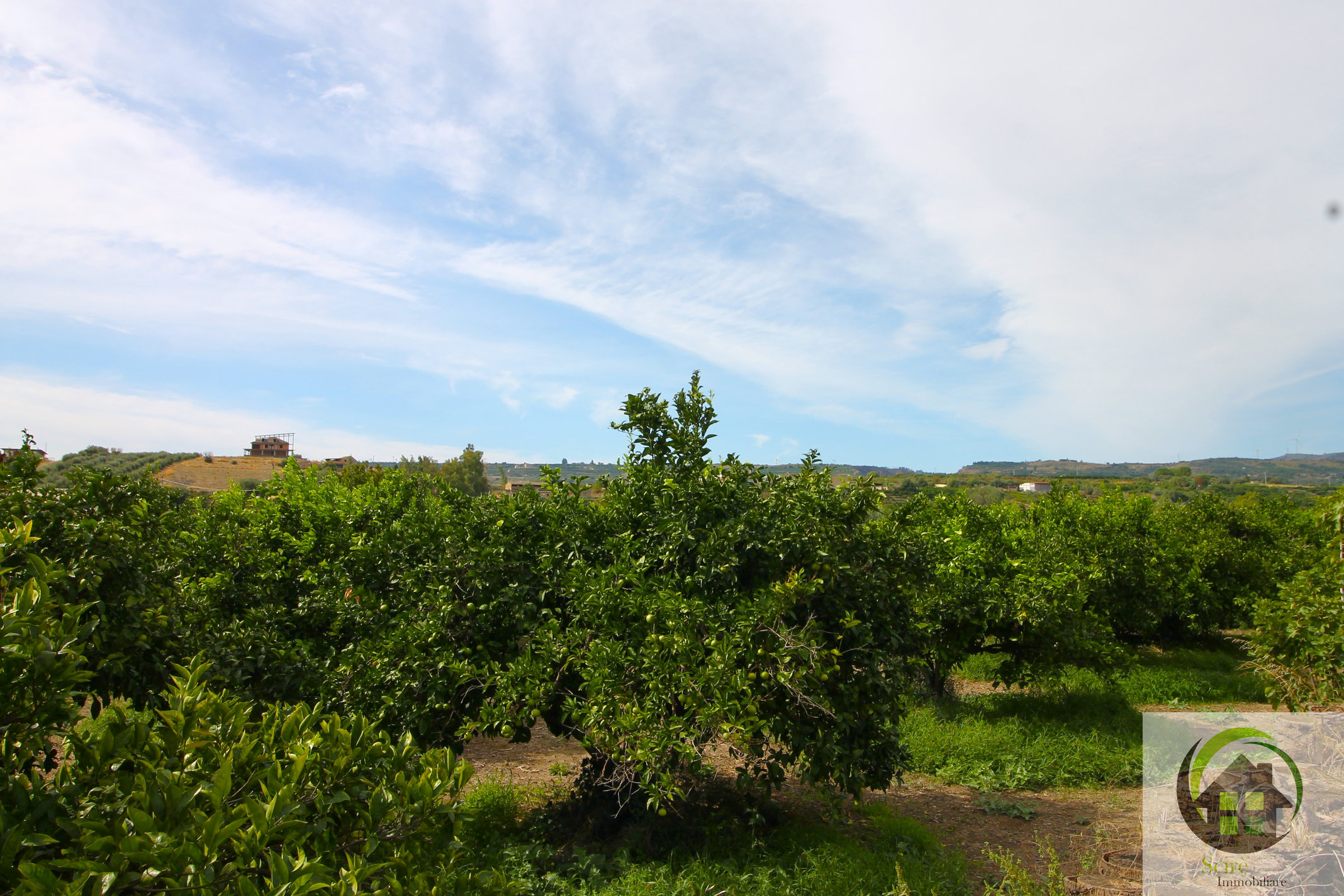 SP29, 0 , 0 ,0,Terreno Agricolo,Vendita,SP29,0,1326 SP29, 0 , 0 ,0,Terreno Agricolo,Vendita,SP29,0,1326