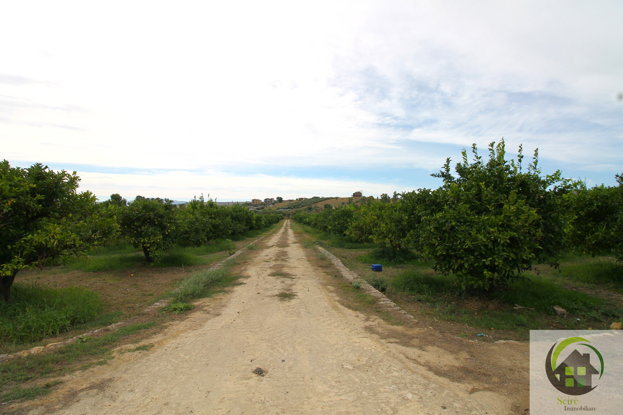 SP29, 0 , 0 ,0,Terreno Agricolo,Vendita,SP29,0,1326 SP29, 0 , 0 ,0,Terreno Agricolo,Vendita,SP29,0,1326