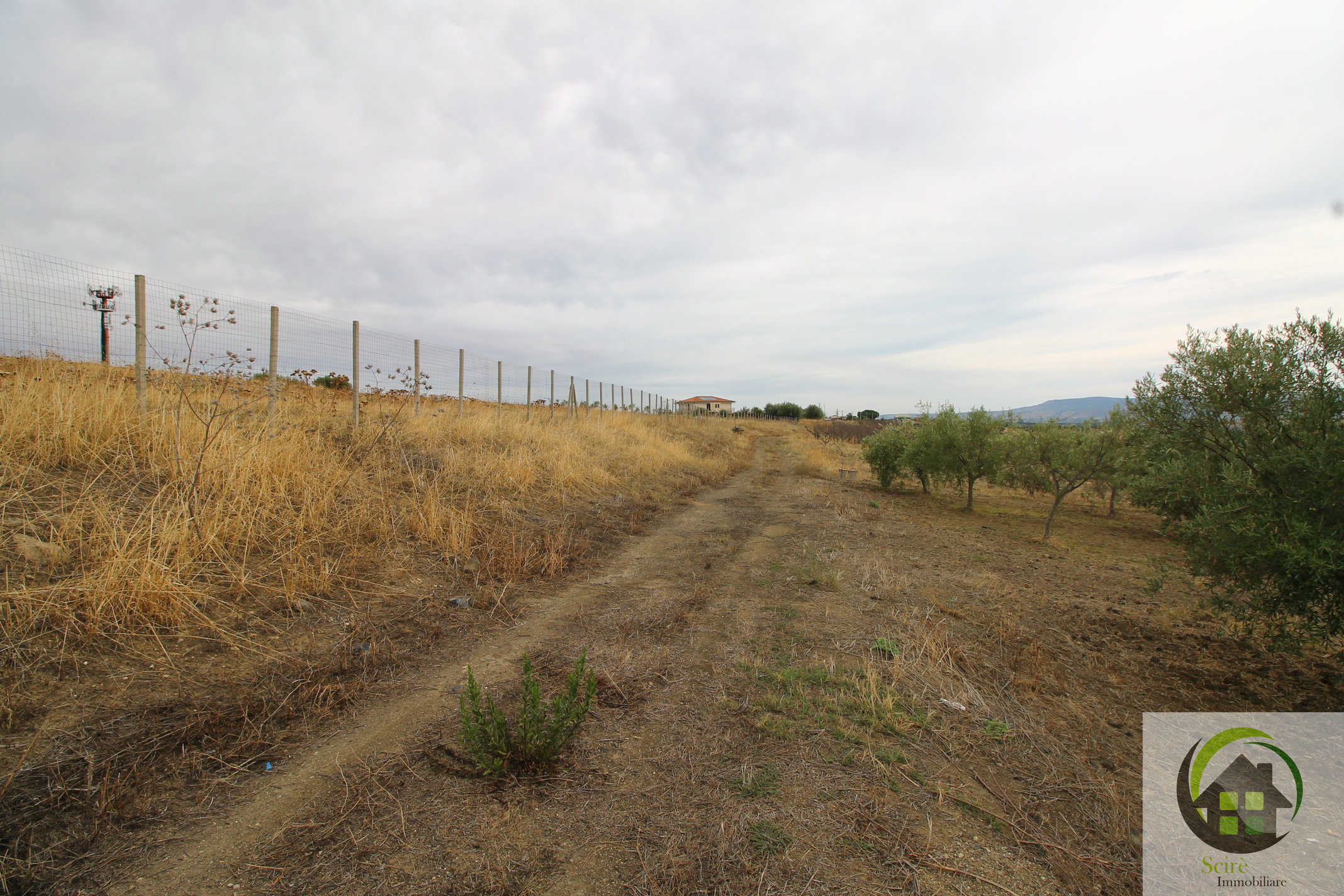 SP29, 0 , 0 ,0,Terreno Agricolo,Vendita,SP29,0,1326 SP29, 0 , 0 ,0,Terreno Agricolo,Vendita,SP29,0,1326