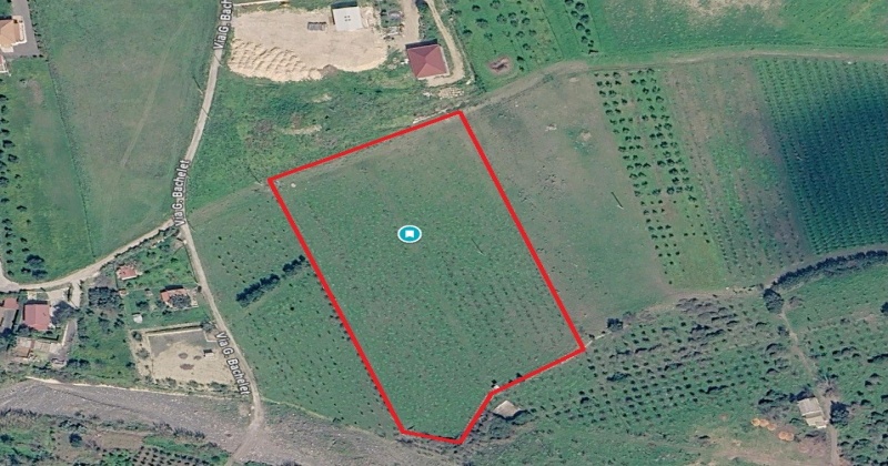 SP29, 0 , 0 ,0,Terreno Agricolo,Vendita,SP29,0,1326