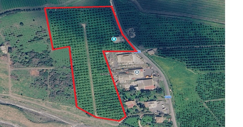 SP29, 0 , 0 ,0,Terreno Agricolo,Vendita,SP29,0,1326