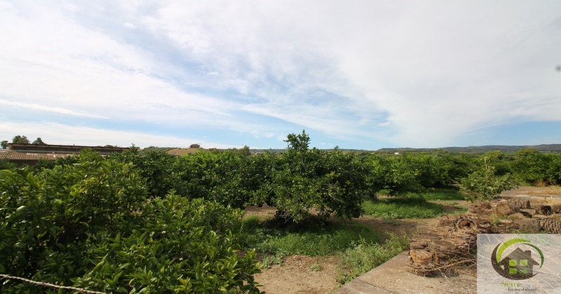 SP29, 0 , 0 ,0,Terreno Agricolo,Vendita,SP29,0,1326