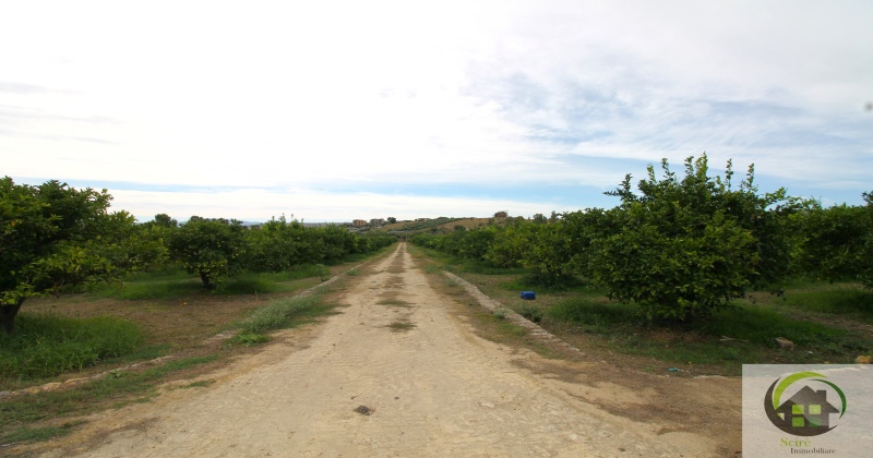 SP29, 0 , 0 ,0,Terreno Agricolo,Vendita,SP29,0,1326