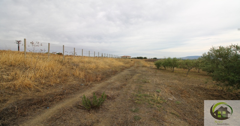 SP29, 0 , 0 ,0,Terreno Agricolo,Vendita,SP29,0,1326